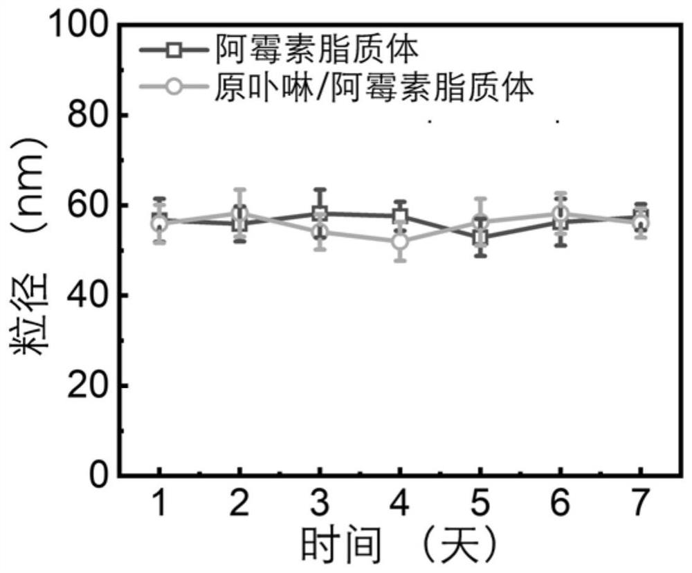 Protoporphyrin liposome for nuclear delivery of chemotherapeutic drugs and preparation method and application of protoporphyrin liposome