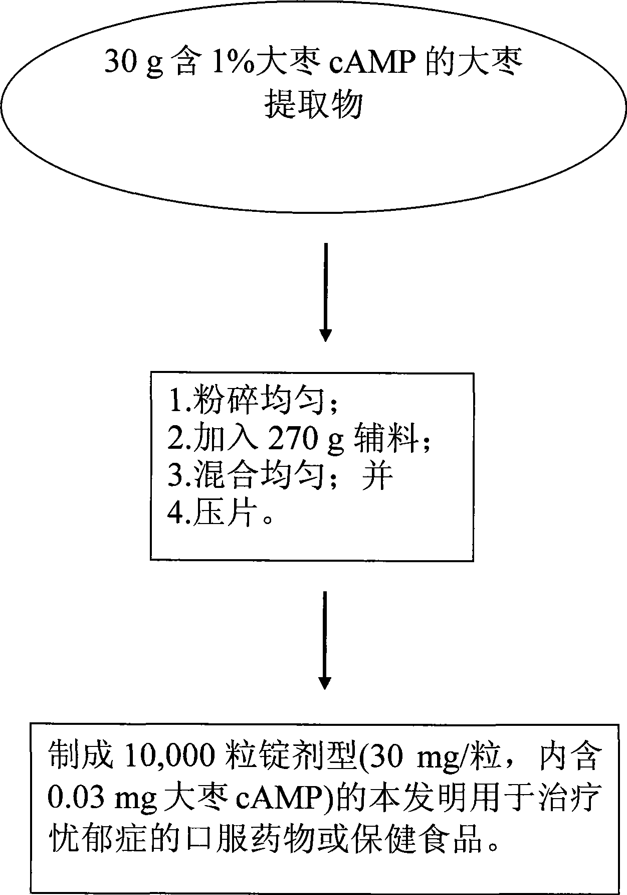 Anti-melancholia medicine using Chinese date Camp as raw material