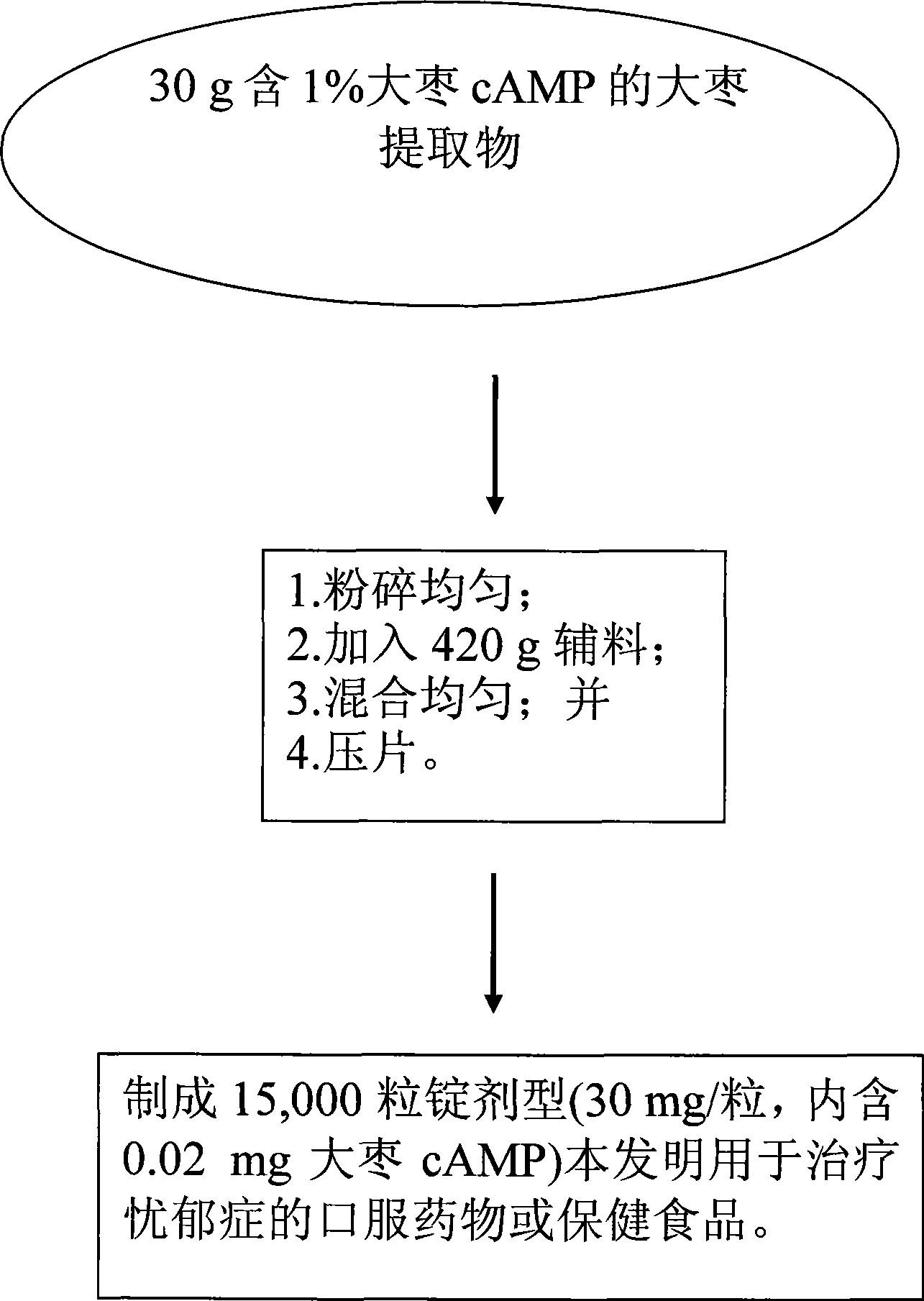 Anti-melancholia medicine using Chinese date Camp as raw material