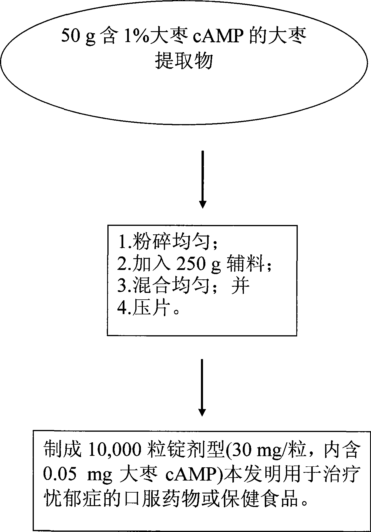 Anti-melancholia medicine using Chinese date Camp as raw material