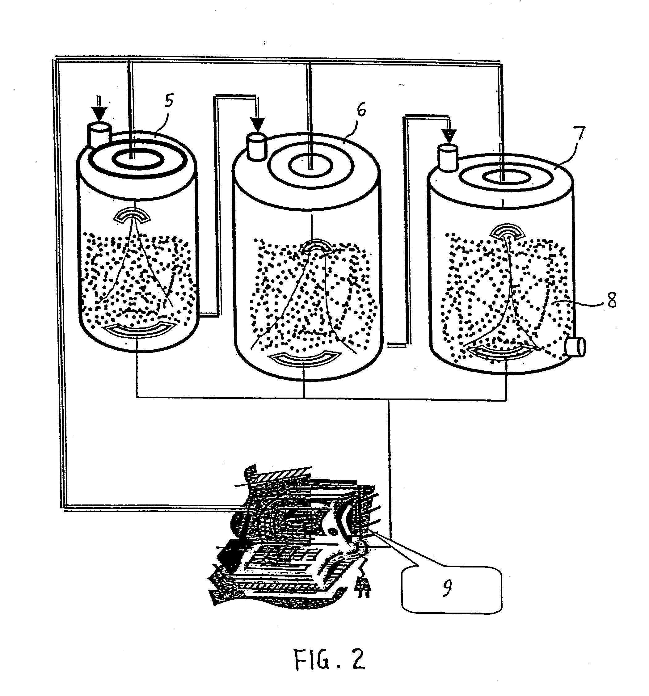 Biological compositions and methods for treatment of cervical cancer