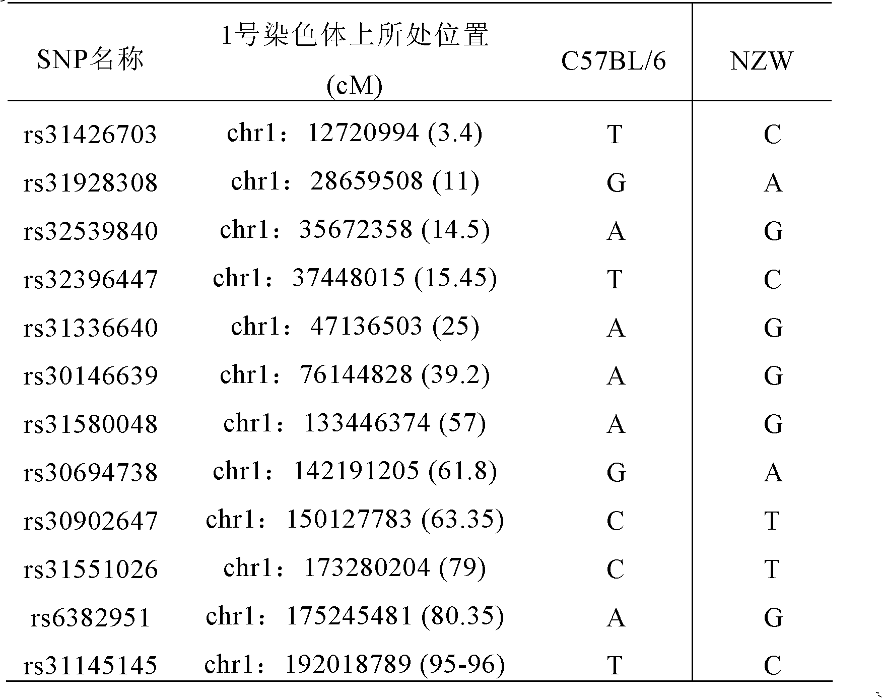 Construction for number 1 chromosome substitution laboratory mouse strain C57BL/6-Chr1NZW