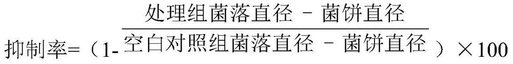 Low-content bactericidal nano preparation applied to flowers in family environment and preparation method of low-content bactericidal nano preparation