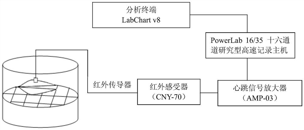 A rapid determination method for temperature-resistant trait index abt of Chlamys farreri