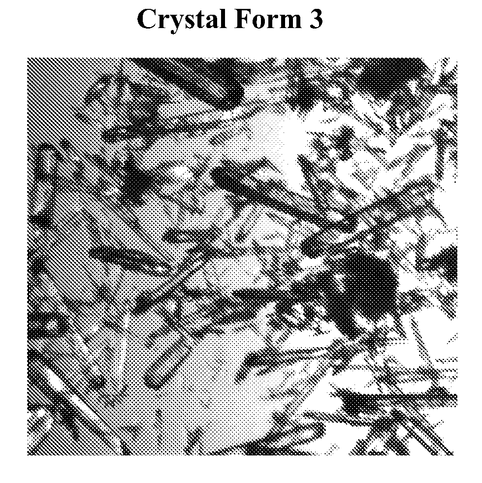 Novel compounds and compositions for targeting cancer stem cells