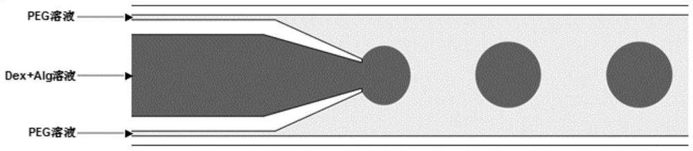 A preparation method and device for microfluidic two-phase monodisperse calcium alginate microspheres