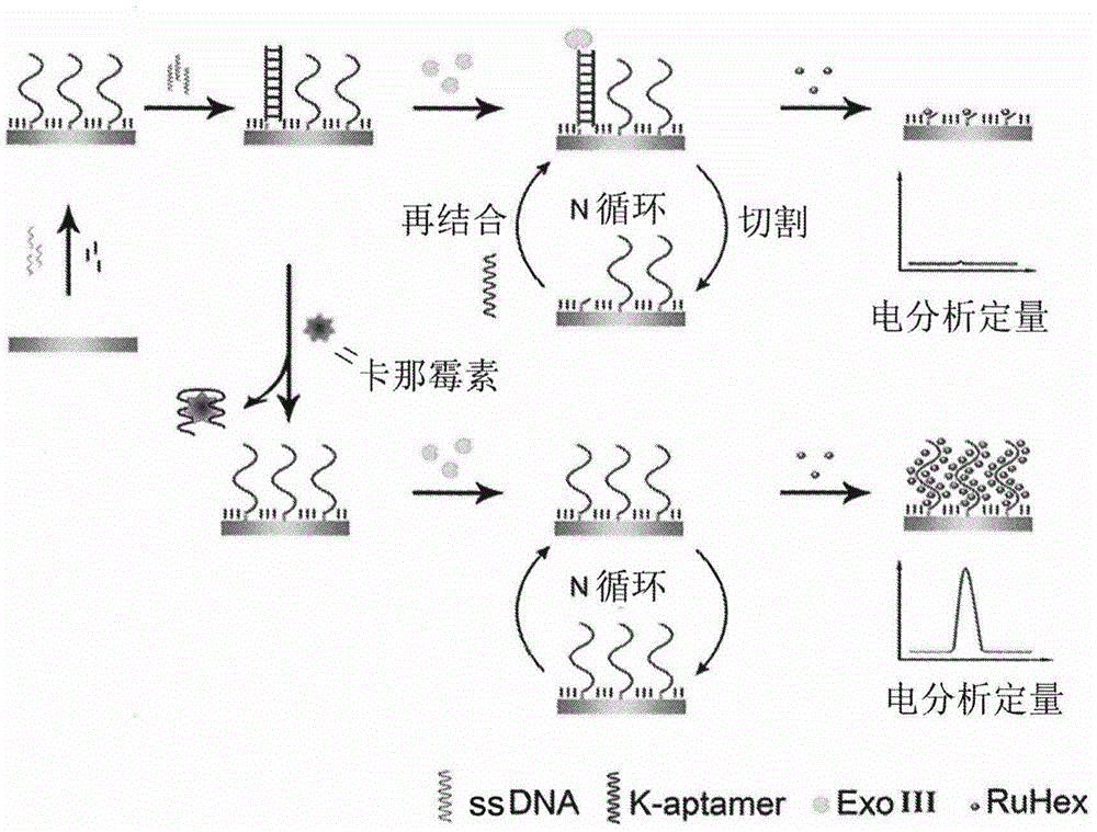 Method for detecting residual kanamycin