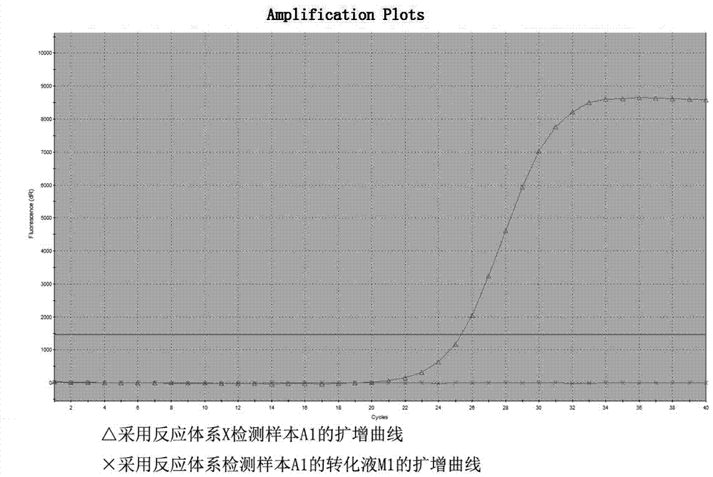 Primer probe system for SEPT9 (septin-9) gene promoter methylation detection and kit adopting primer probe system