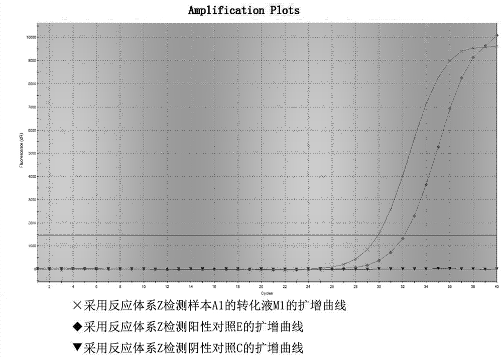 Primer probe system for SEPT9 (septin-9) gene promoter methylation detection and kit adopting primer probe system