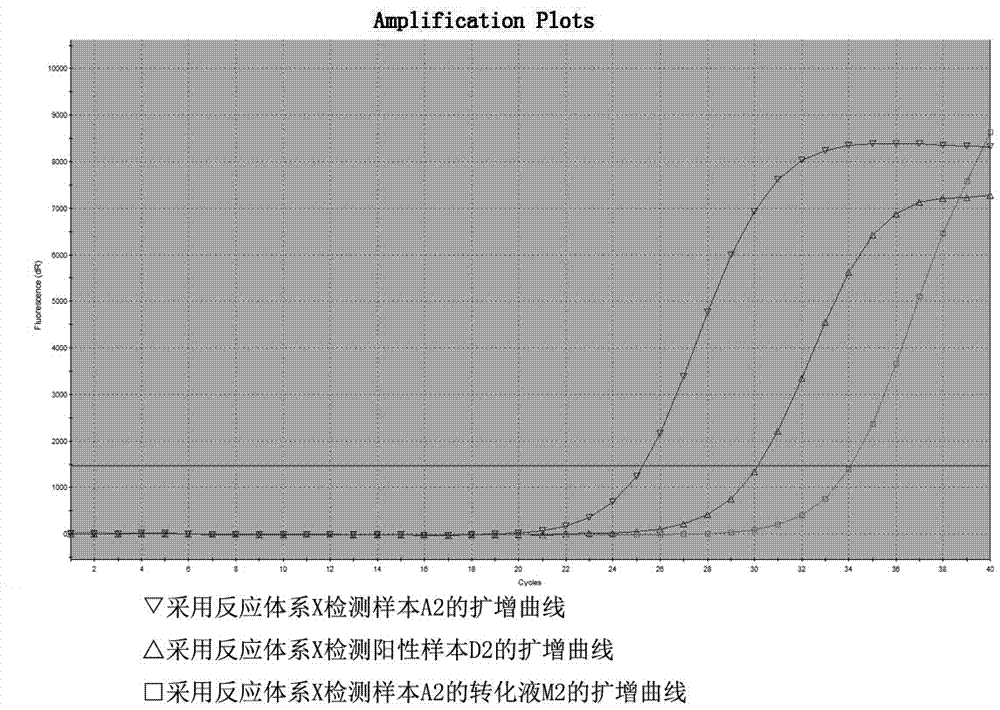 Primer probe system for SEPT9 (septin-9) gene promoter methylation detection and kit adopting primer probe system