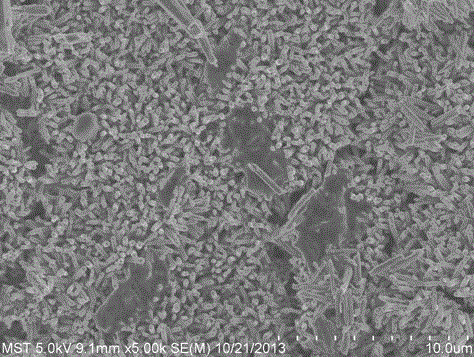 A kind of preparation method of gas purification membrane with antibacterial function