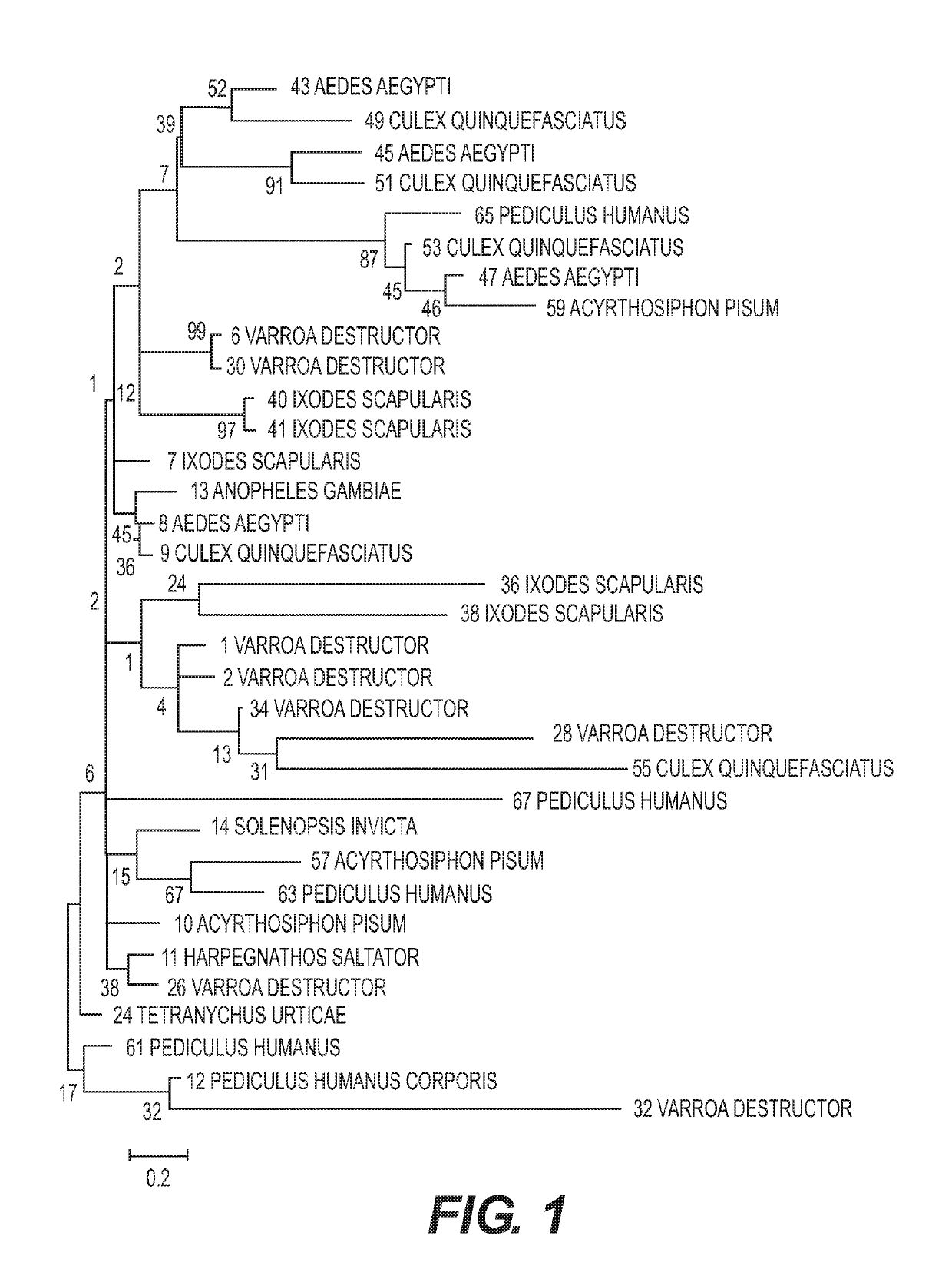 Compositions and methods for controlling arthropod parasite and pest infestations