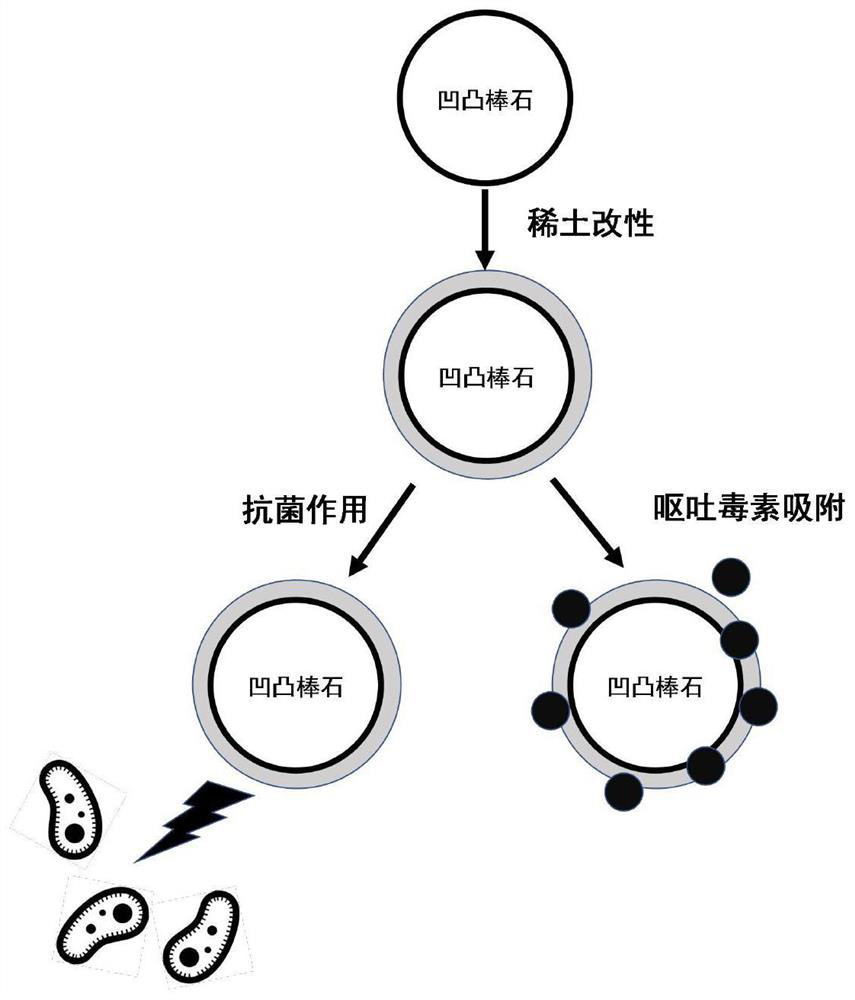 Preparation method of rare earth modified attapulgite feed additive