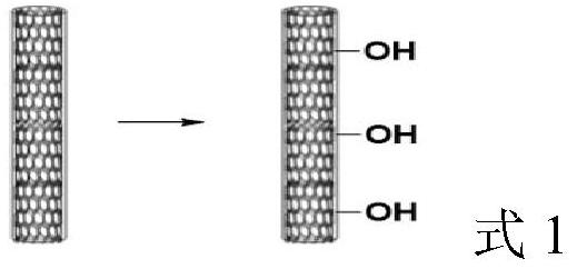 Modified carbon fiber as well as preparation method and application thereof