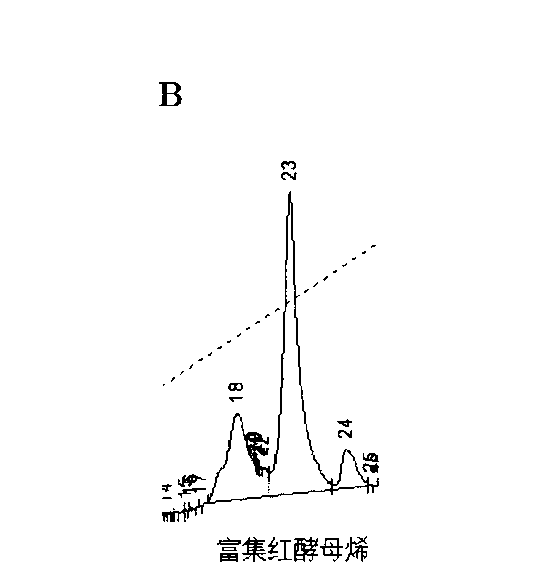 Sporidiobolus pararoseus bacterial strain and application thereof