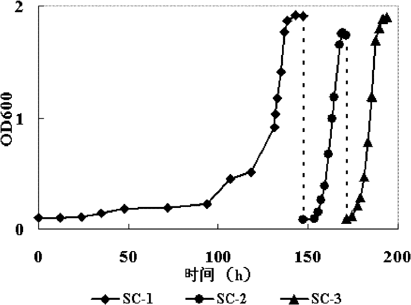 A method for obtaining yeast strains tolerant to multiple inhibitors