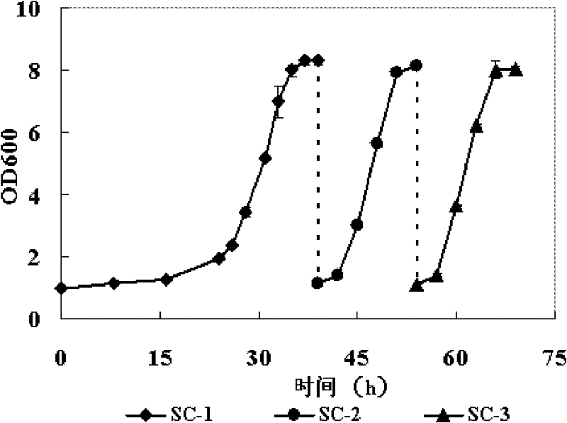 A method for obtaining yeast strains tolerant to multiple inhibitors