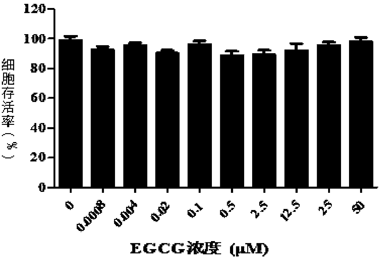 Application of epigallocatechin gallate and derivatives thereof in preparing drugs for resisting against zika virus