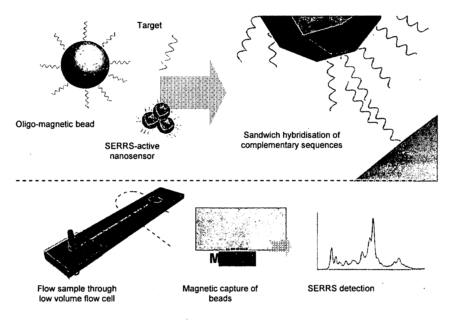 Functionalised polymers for binding metal surfaces