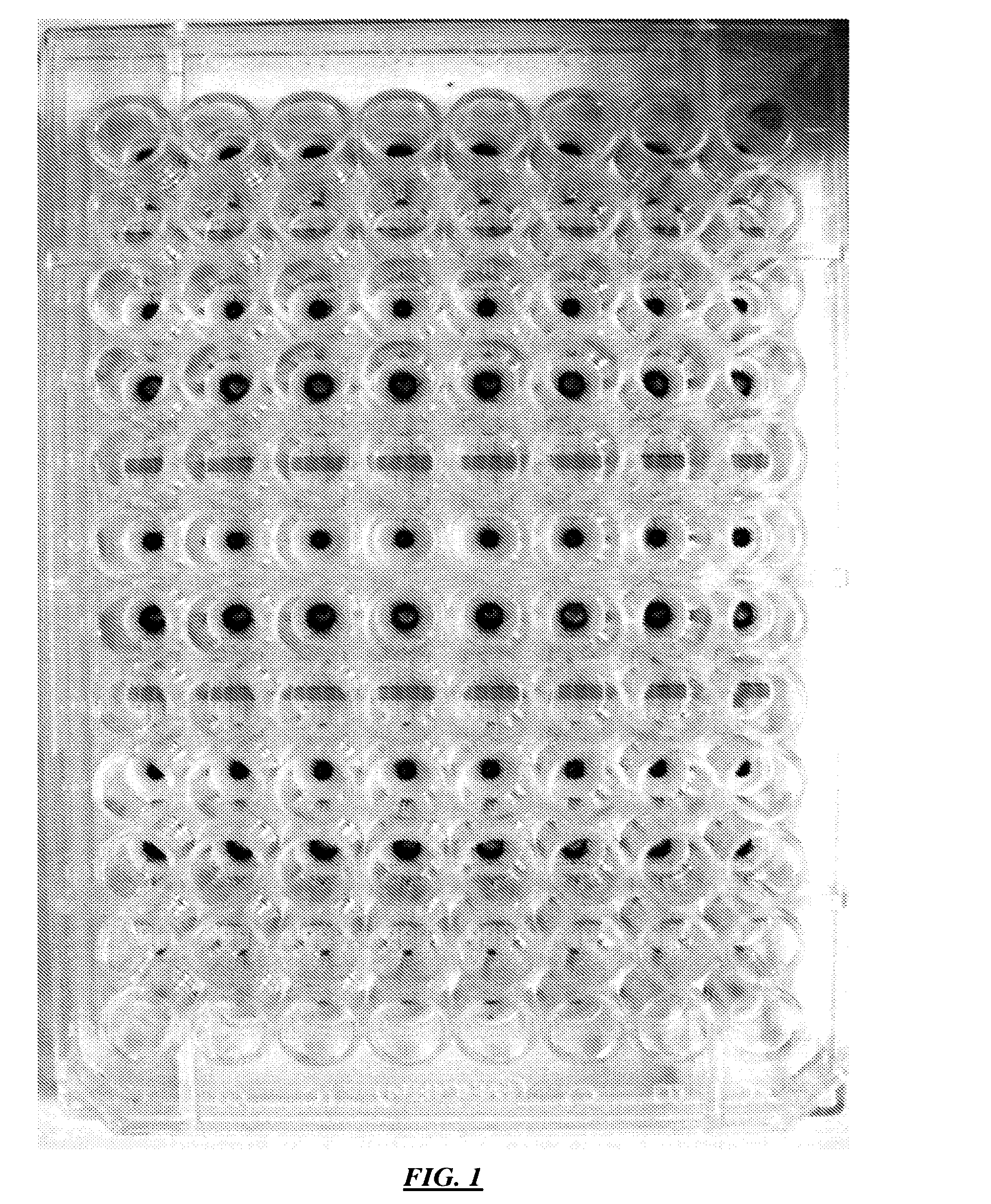 Cell Culture Array System For Automated Assays And Methods Of Operation And Manufacture