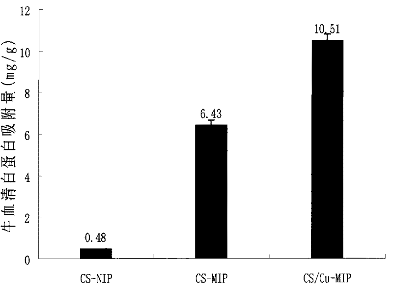 Chitosan and metal copper ion complex western imprinting polymer and its preparation method