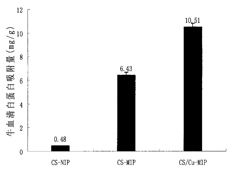 Chitosan and metal copper ion complex western imprinting polymer and its preparation method