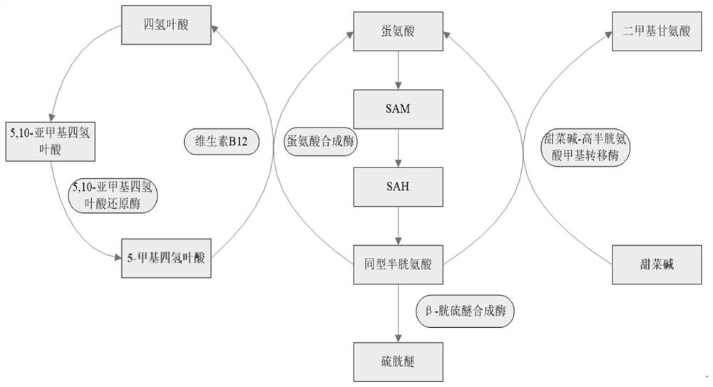 A kind of composition and its preparation method and application