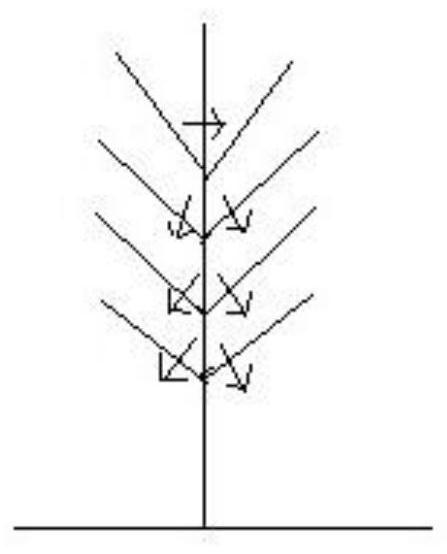 A method of rejuvenation and pruning of chestnut with large tubes and small tubes alternately updated