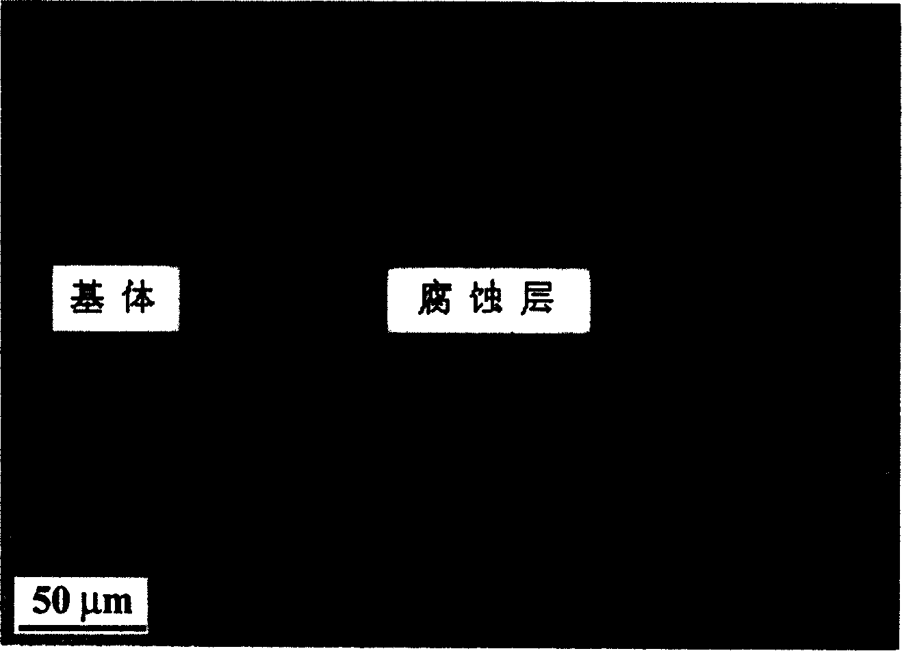 Method for raising resistance of Ti3AlC2 and Ti2AlC and their composite materials to molten salt corrosion