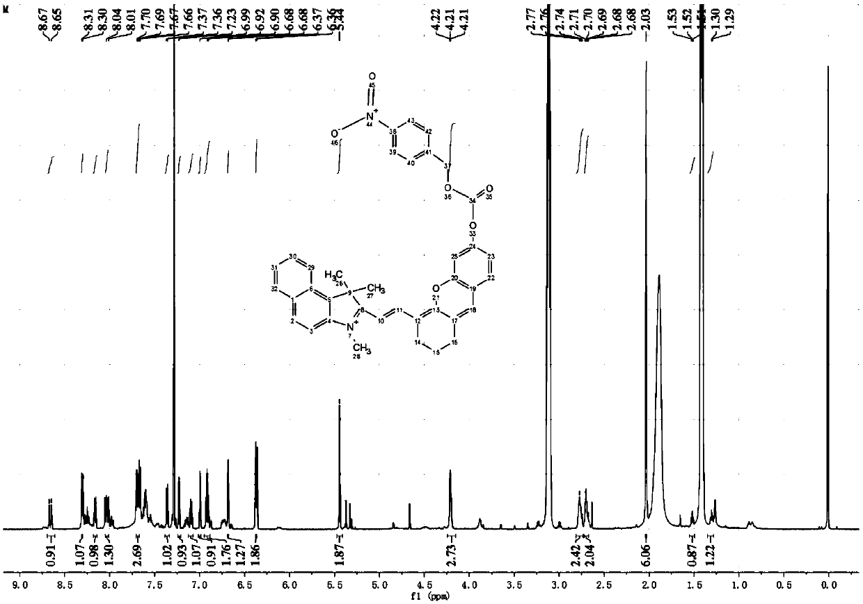 Opto-acoustic probe used for detecting nitroreductase in living bodies and preparation method and application thereof