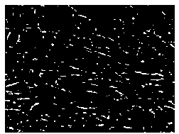 A Virus Isolation Method for Low-Content Samples of Aphthus Virus