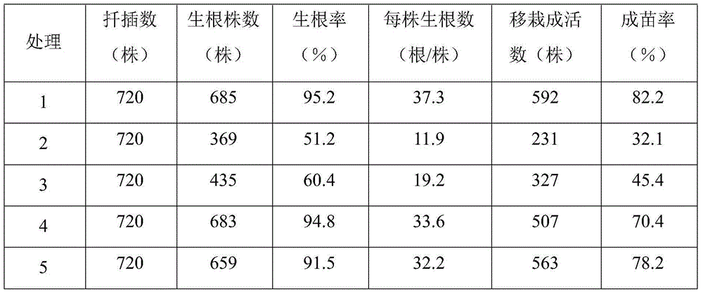 Hollow heating seedling cultivating box and application thereof