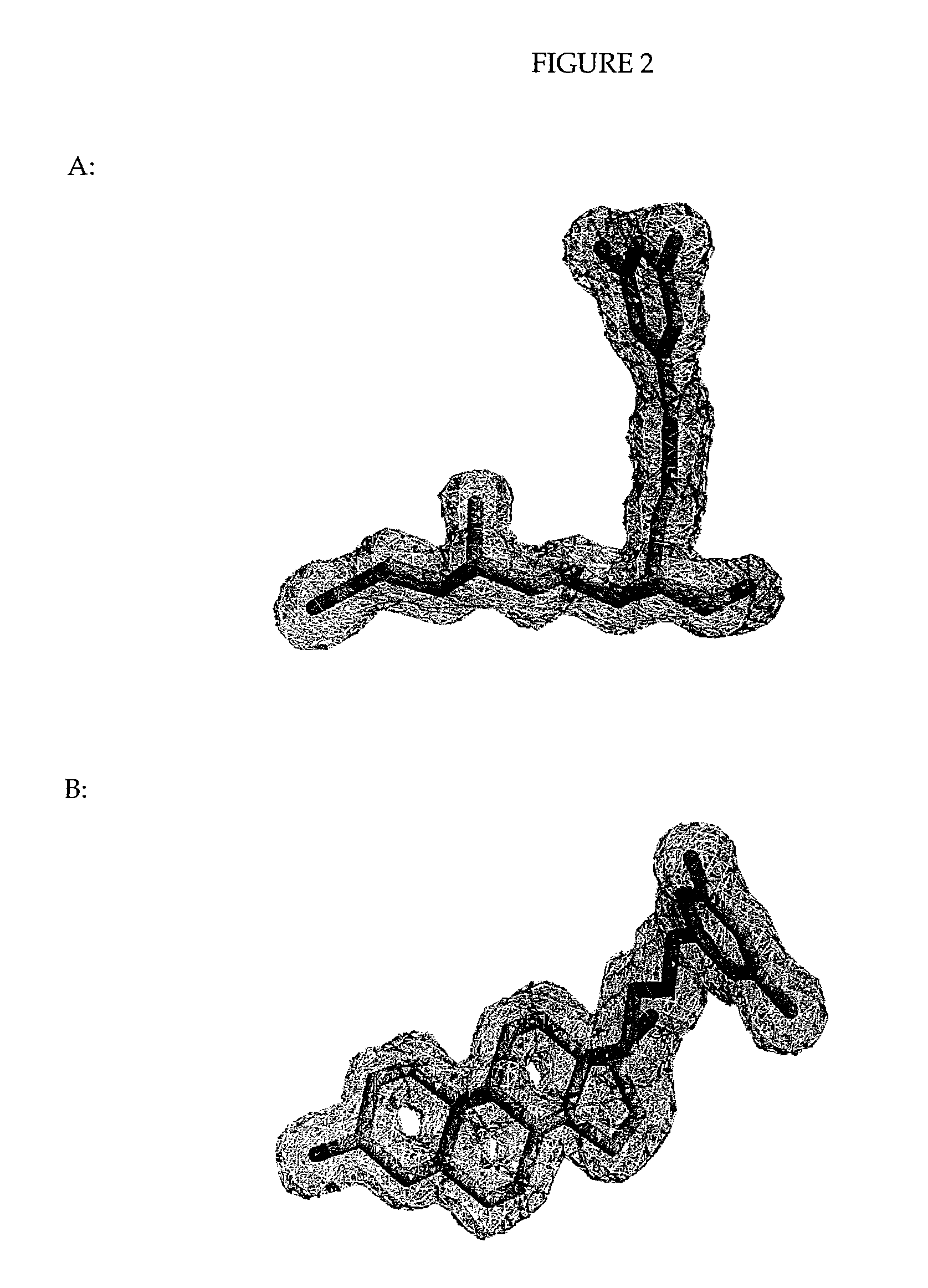 Helix 12 directed non-steroidal antiandrogens