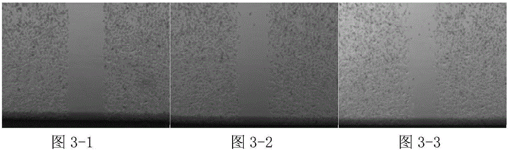 Multi-platform interaction based remote-operation bioexperiment system and control method