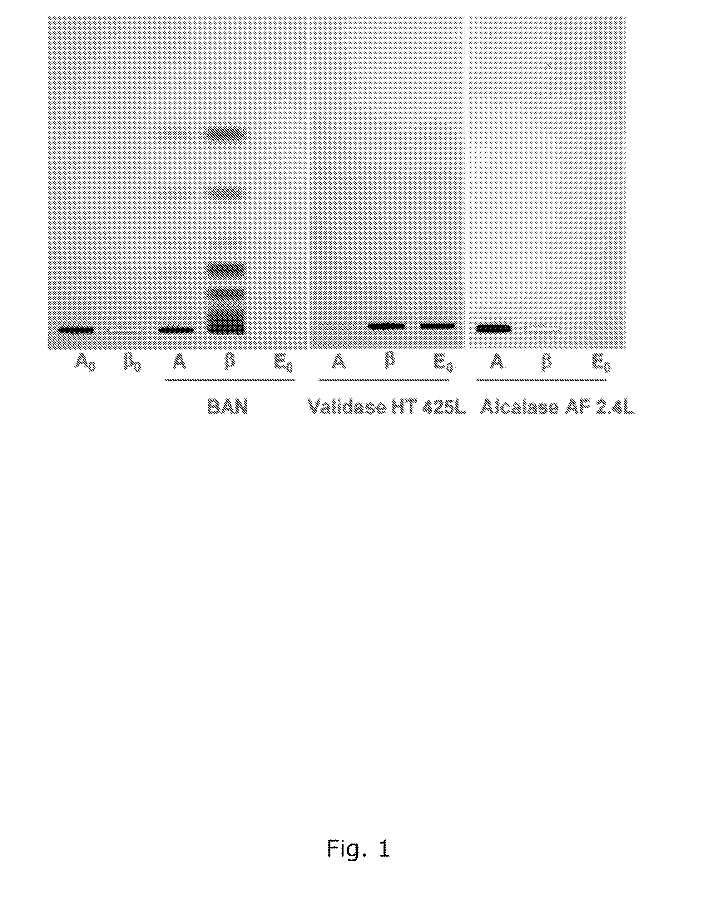 Food ingredient comprising hydrolyzed whole grain