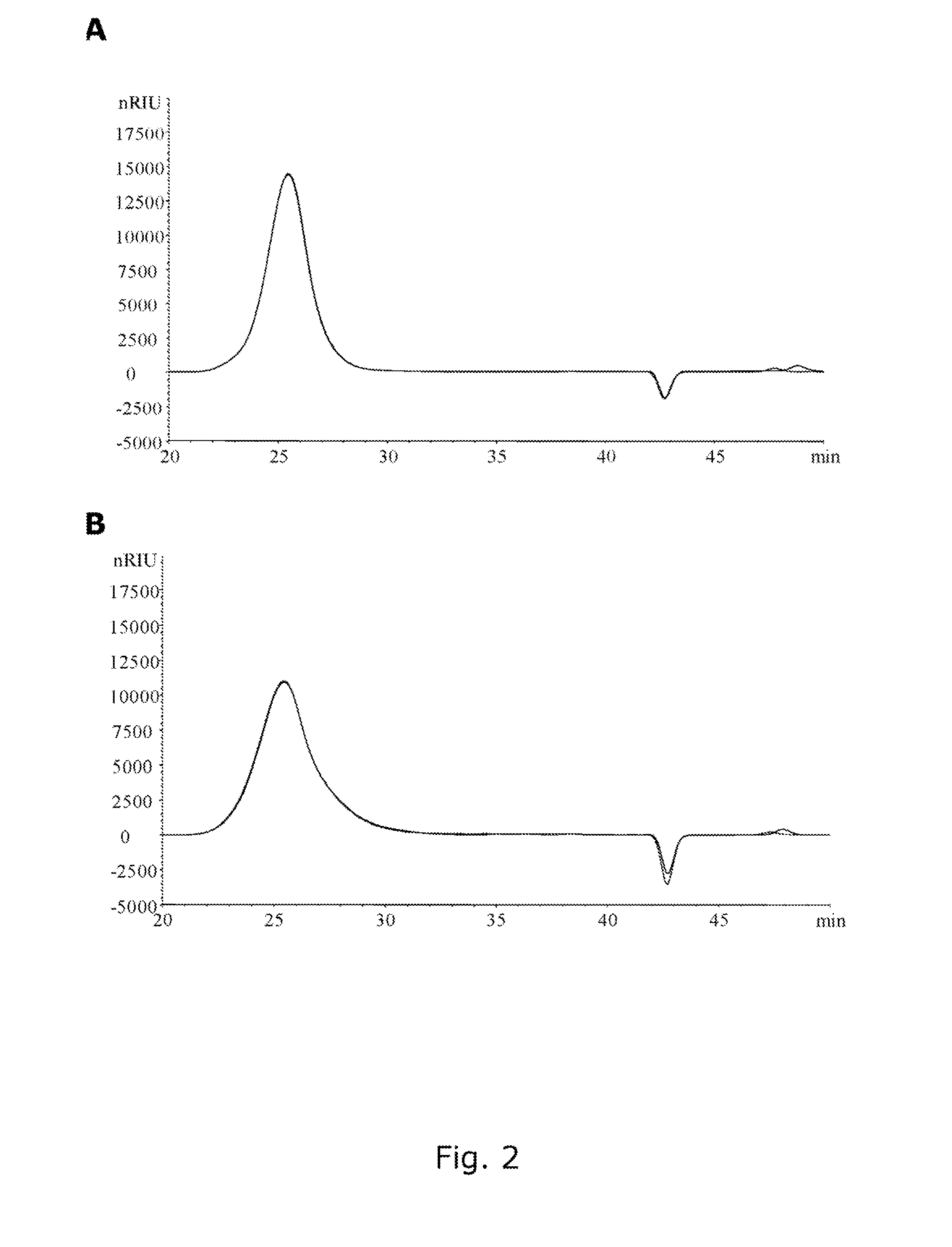 Food ingredient comprising hydrolyzed whole grain