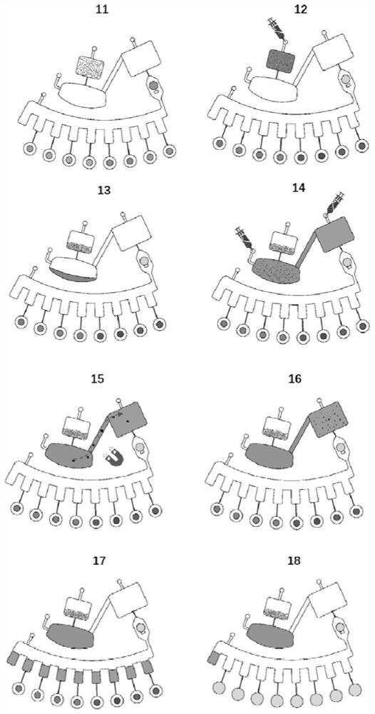 Micro-fluidic chip for nucleic acid extraction amplification detection