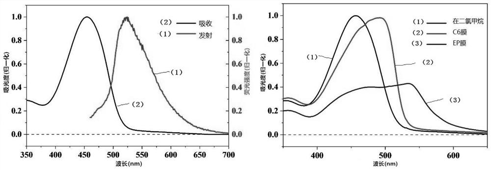 Synthesis method of intramolecular exciton splitting material with anti-aromaticity and quinonoid structure, preparation method of thin film and single crystal