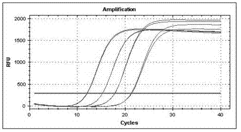 Method for rapid reverse transcription of micro ribonucleic acid (RNA) library