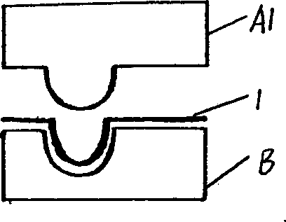 Process for shaping foamed latex product