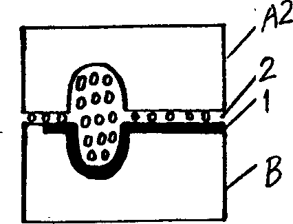 Process for shaping foamed latex product