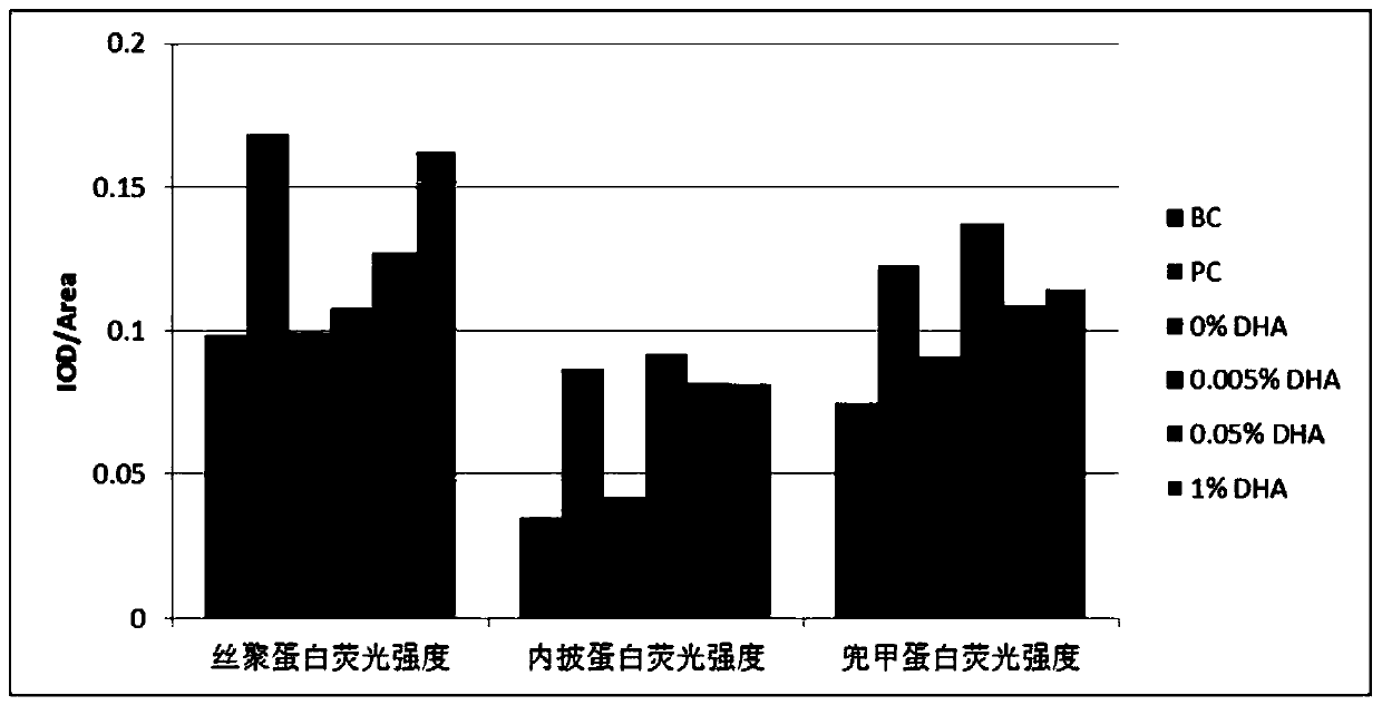 Essence composition containing docosahexaenoic acid and preparation method thereof