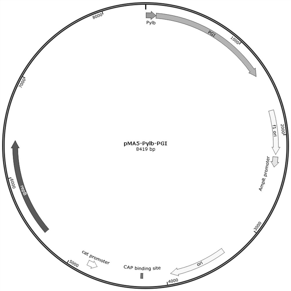 Tagatose-producing bacillus subtilis genetic engineering bacteria and method for preparing tagatose