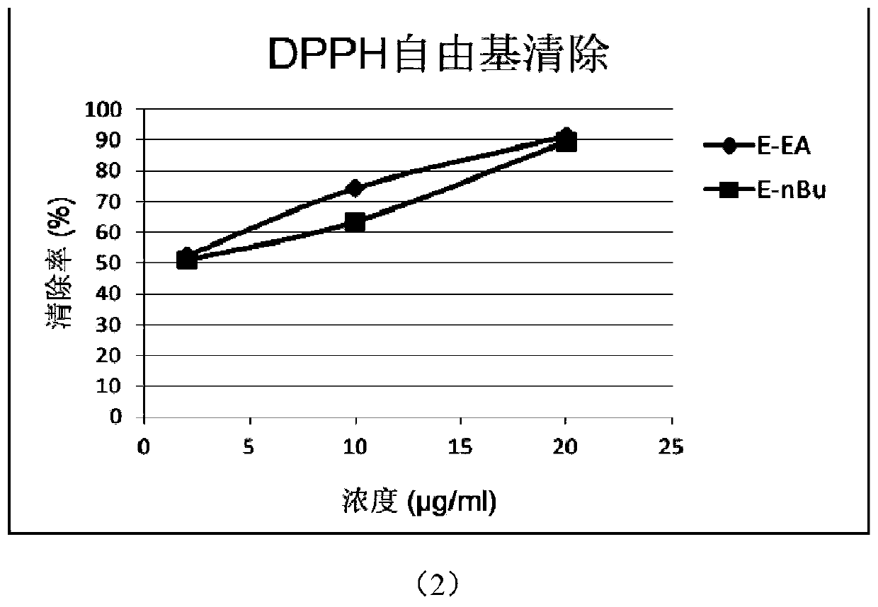 Application of ethyl acetate extract of emblic leafflower fruits in prevention and treatment of atherosclerosis