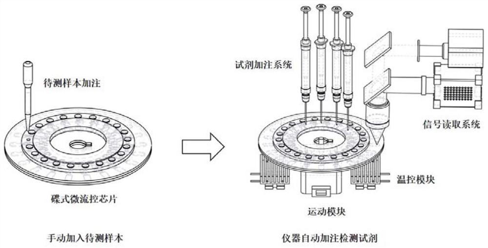 Microfluidic nucleic acid detection method and application