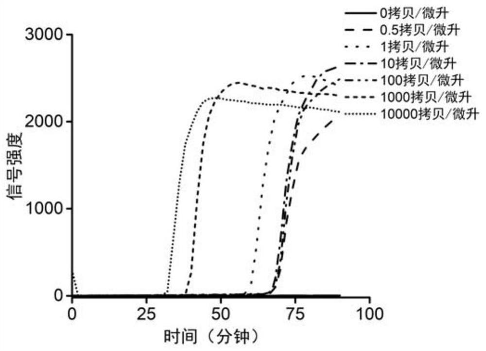 Microfluidic nucleic acid detection method and application