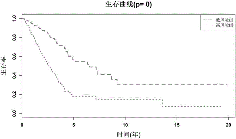 Prognosis marker for lung cancer, method for anticipating lung cancer prognosis by using marker and application of marker