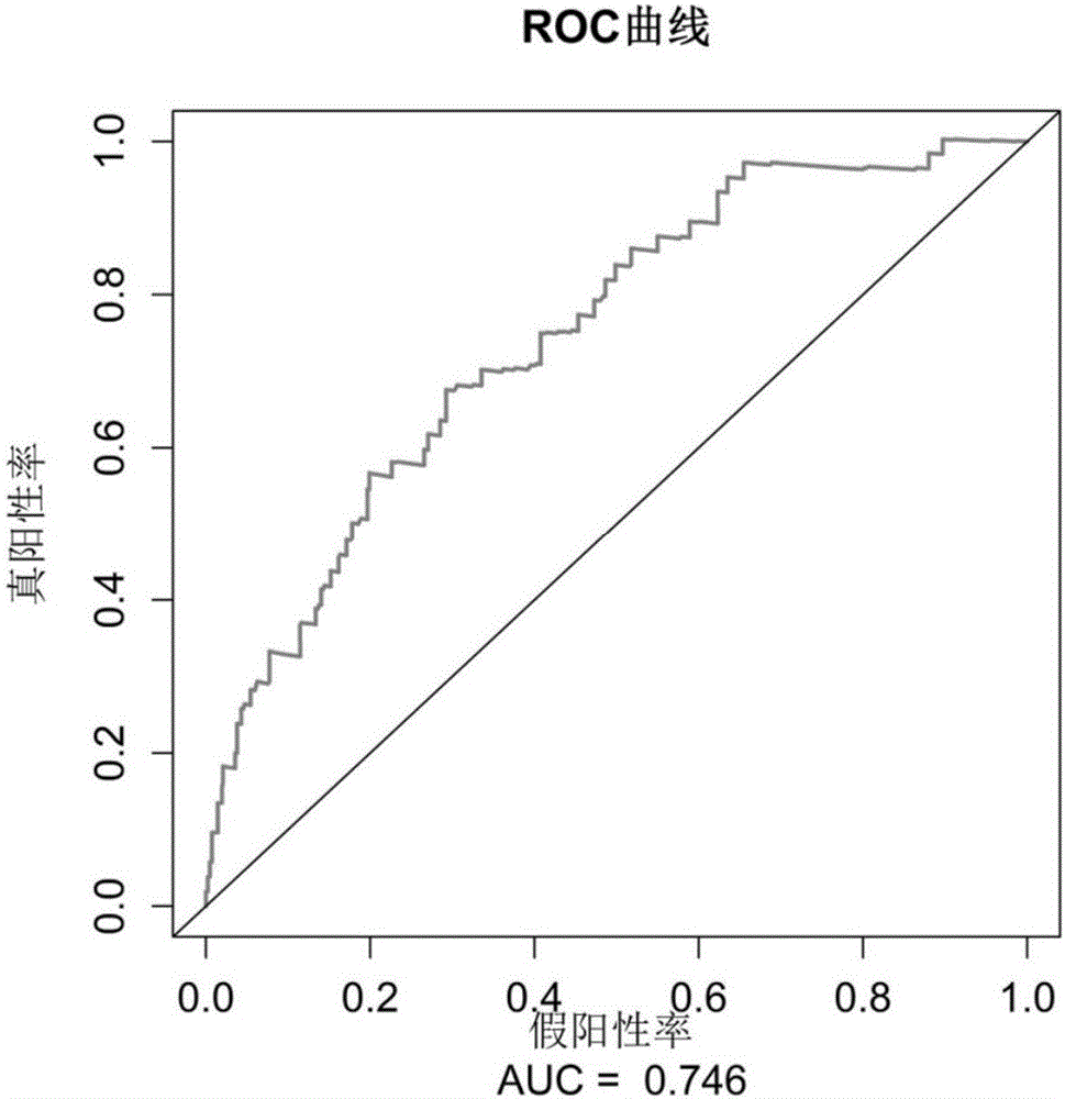 Prognosis marker for lung cancer, method for anticipating lung cancer prognosis by using marker and application of marker