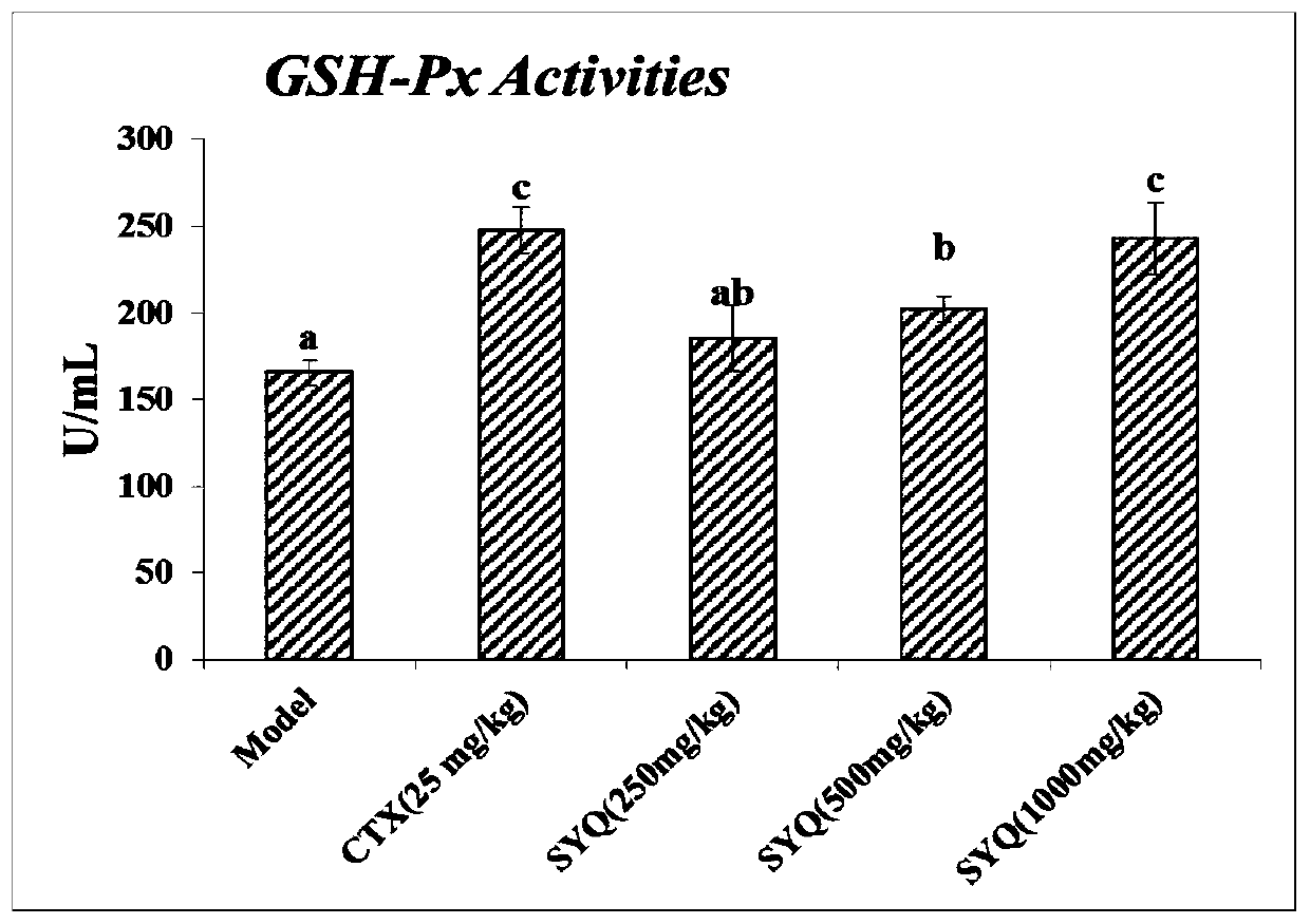 Radix tetrastigme compound composite for enhancing anti-tumor and antioxidant activity and preparation method thereof