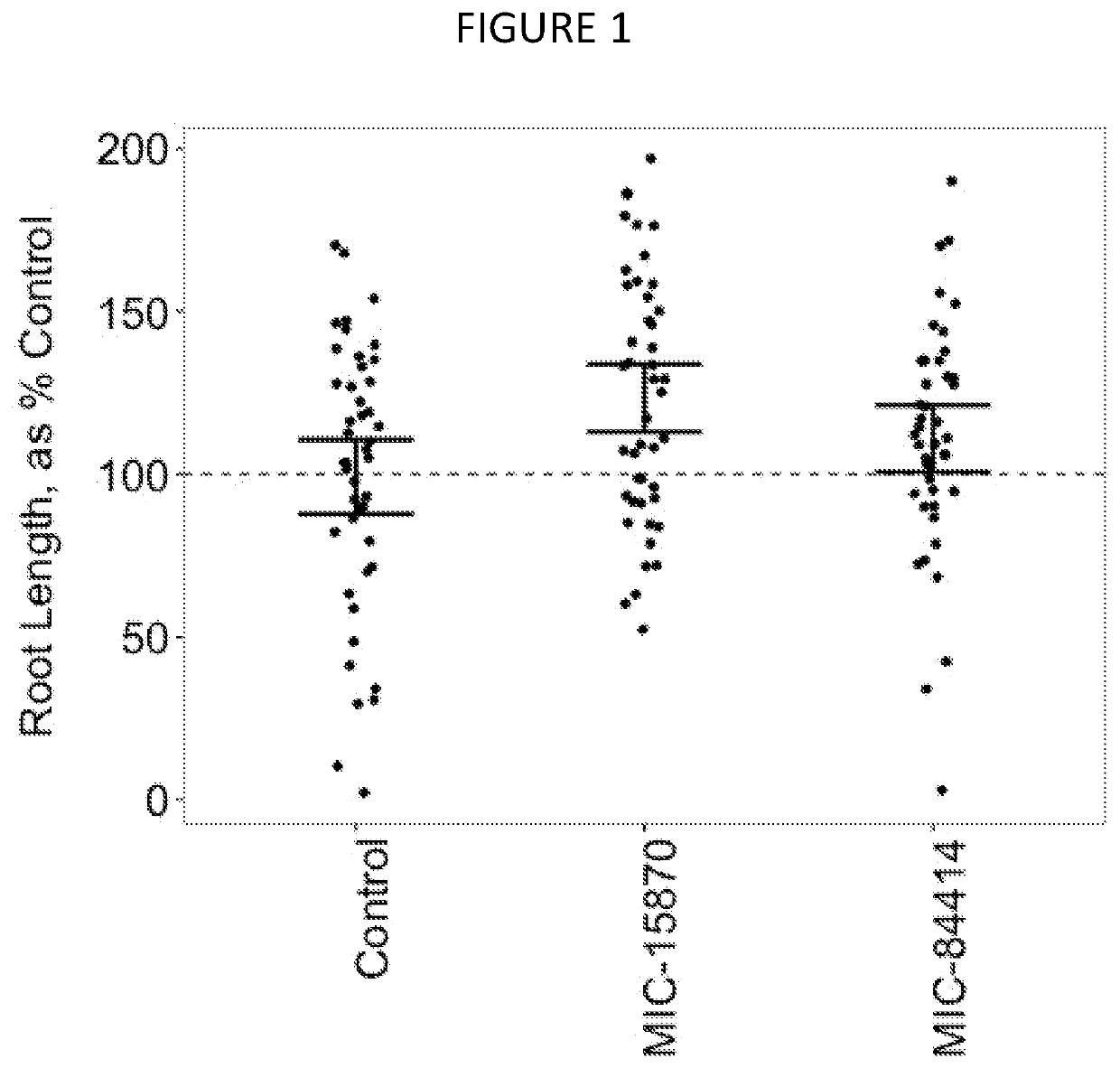 Endophyte compositions and the methods for improvement of plant traits